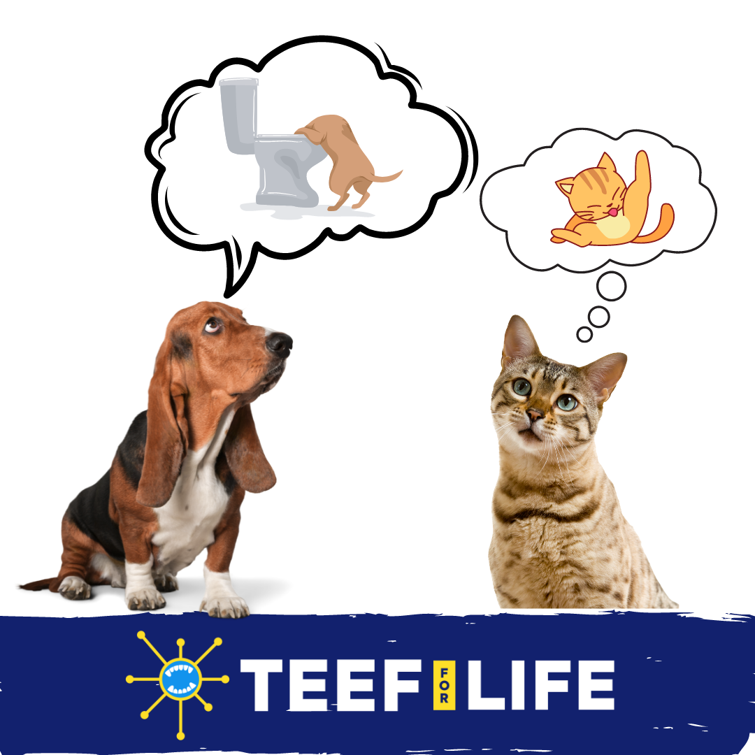 Mondzorgset: TEEF for Life - Protektin42K - Prebiotisch voedingssupplement, Tandpoeder voor ALLE huisdieren (Natriumvrij)