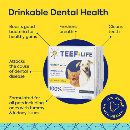 Mondzorgset: TEEF for Life - Protektin42K - Prebiotisch voedingssupplement, Tandpoeder voor ALLE huisdieren (Natriumvrij)