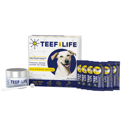 Mondzorgset: TEEF for Life - Protektin42™ - Prebiotisch voedingssupplement, Tandpoeder voor Honden