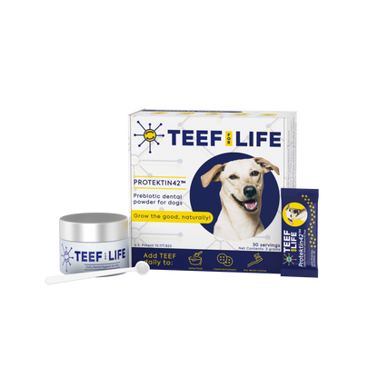 Mondzorgset: TEEF for Life - Protektin42™ - Prebiotisch voedingssupplement, Tandpoeder voor Honden